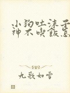 小狗吐沫子没精神不吃饭怎么办