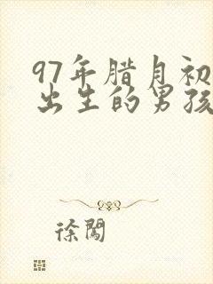 97年腊月初一出生的男孩命运