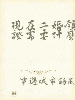 现在二婚领结婚证需要什么证件