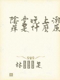 阴囊晚上潮湿瘙痒是什么原因造成的