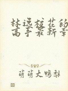 林逸校花的贴身高手最新章节笔趣阁