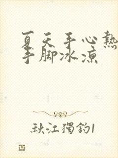 夏天手心热冬天手脚冰凉封面