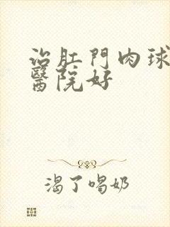 治肛门肉球那家医院好封面