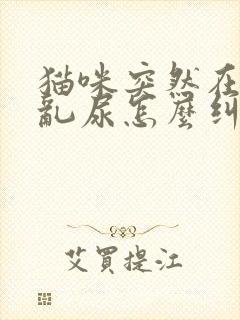 猫咪突然在床上乱尿怎么纠正