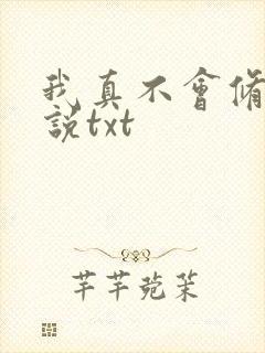 我真不会修仙小说txt