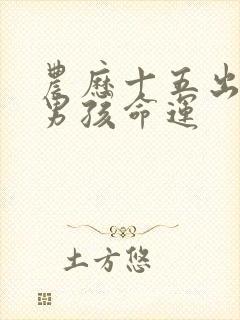 农历十五出生的男孩命运封面