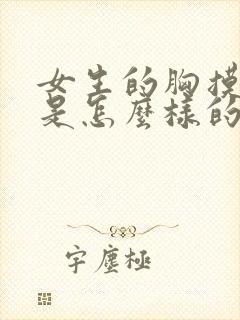 女生的胸摸起来是怎么样的封面