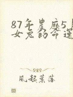 87年农历5月女兔的命运封面