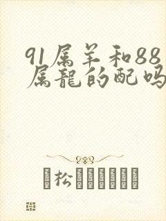 91属羊和88属龙的配吗
