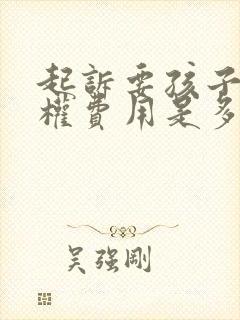 起诉要孩子抚养权费用是多少封面