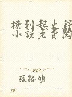 撩到起火舒漾的小说免费阅读全文