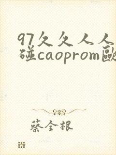97久久人人超碰caoprom欧美