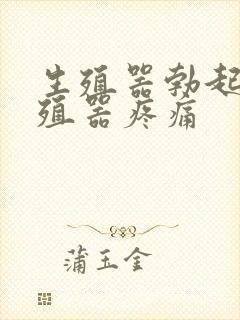 生殖器勃起时生殖器疼痛