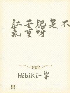 肚子肥是不是湿气重呀