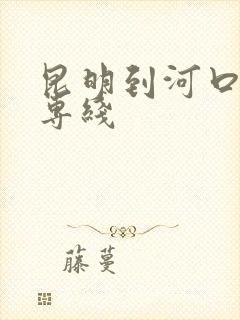 昆明到河口物流专线