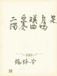 二泉映月是二胡独奏曲吗