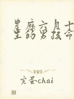 农历六月十六出生的男孩命运