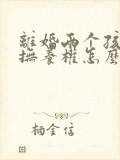 离婚两个孩子的抚养权怎么争取