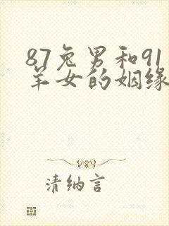 87兔男和91羊女的姻缘封面