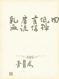 乳房有低回声有血流信号