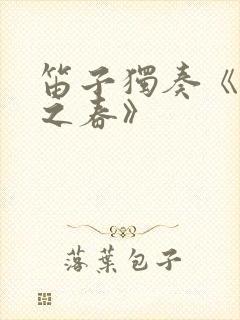 笛子独奏《北国之春》