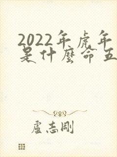 2022年虎年是什么命五行属什么