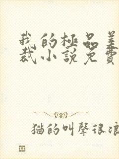 我的极品美女总裁小说免费