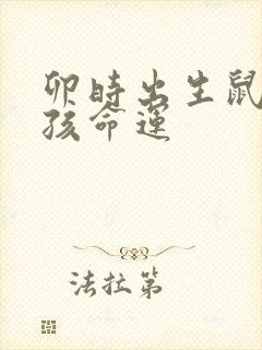 卯时出生鼠的男孩命运封面