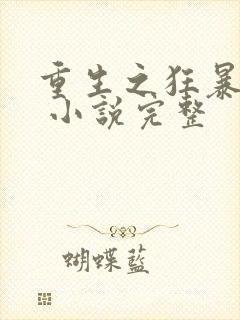 重生之狂暴火法 小说完整