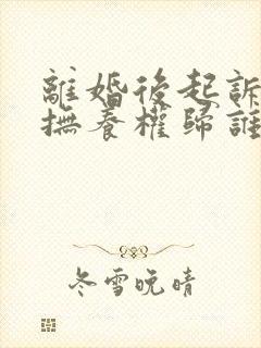 离婚后起诉孩子抚养权归谁