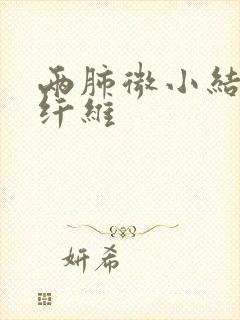 两肺微小结节灶纤维封面