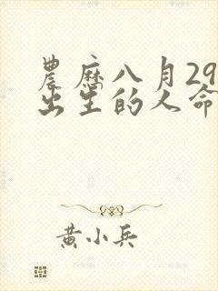 农历八月29日出生的人命运