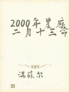 2000年农历二月十三命运好吗封面