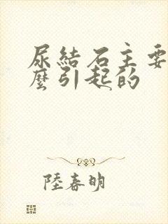 尿结石主要是什么引起的