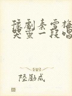 豫剧秦雪梅吊孝哭灵一段唱词