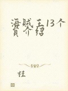 海贼王13个成员介绍封面