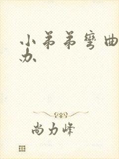 小弟弟弯曲怎么办封面