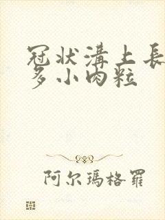 冠状沟上长了好多小肉粒封面