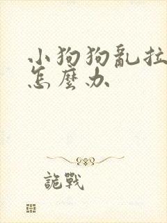 小狗狗乱拉乱尿怎么办