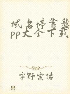 域名停靠盘他app大全下载2022