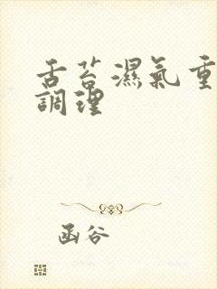 舌苔湿气重怎么调理