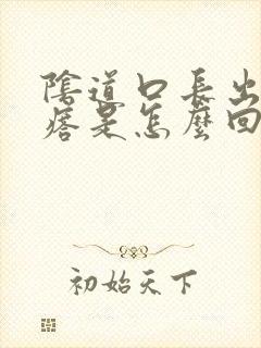 阴道口长出小疙瘩是怎么回事封面