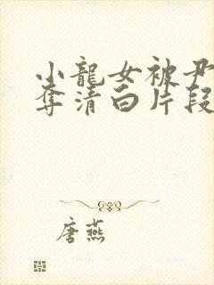 小龙女被尹志平夺清白片段是哪一集