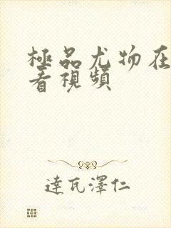 极品尤物在线观看视频