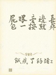 屁眼旁边长了个包一按就疼怎么办封面