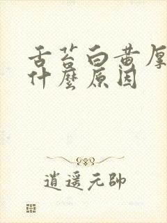 舌苔白黄厚嘴苦什么原因