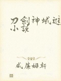 刀剑神域进击篇小说