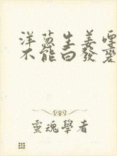 洋葱生姜啤酒能不能白发变黑发封面