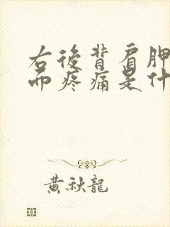 右后背肩胛骨里面疼痛是什么原因