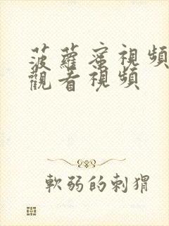 菠萝蜜视频在线观看视频